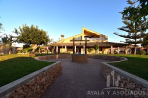 FINCA EN VENTA DE 10.000m2 DE PARCELA, LOS CAMACHOS